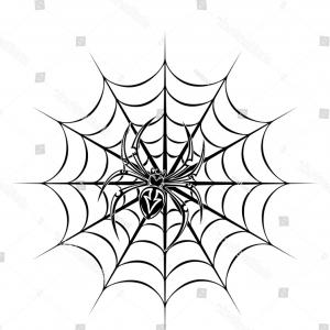 300x300 Hand Drawing Decorative Beautiful Spider Web Vector Lazttweet - Spider On Web Drawing