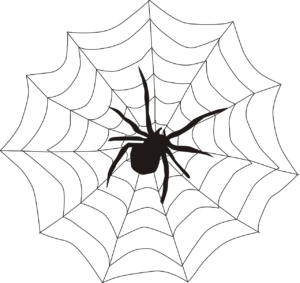 300x283 Spider Web - Spider On Web Drawing