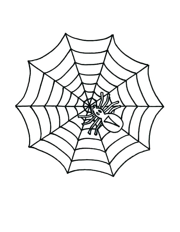600x776 Spider Web Coloring - Spider On Web Drawing
