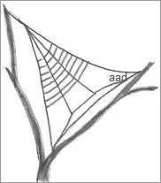 182x207 Spider Web Drawing - Spider On Web Drawing