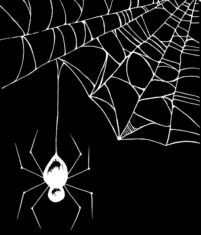 700x819 Spider White Art Print Spider Web Drawing Illustration Cute - Spider On Web Drawing