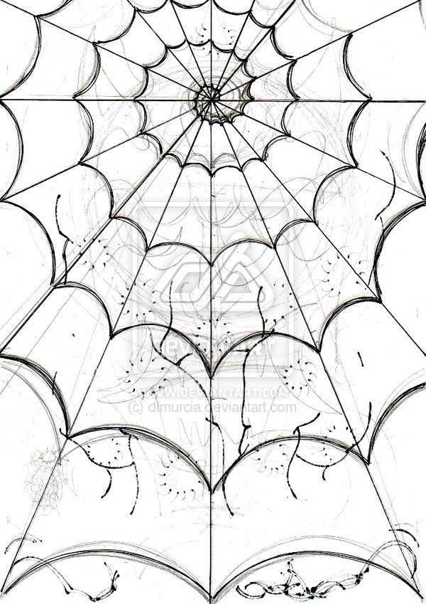 600x849 Spider's Web Sketch - Spider On Web Drawing