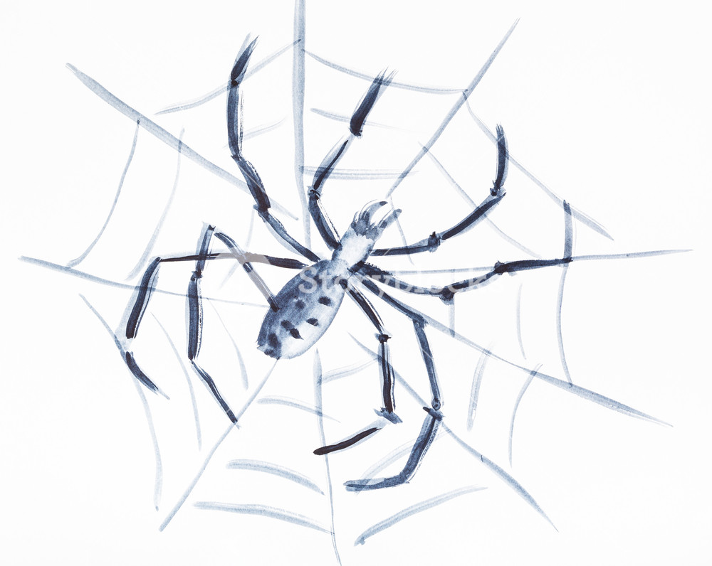 1000x796 training drawing in suibokuga style with watercolor paints - Spider On Web Drawing