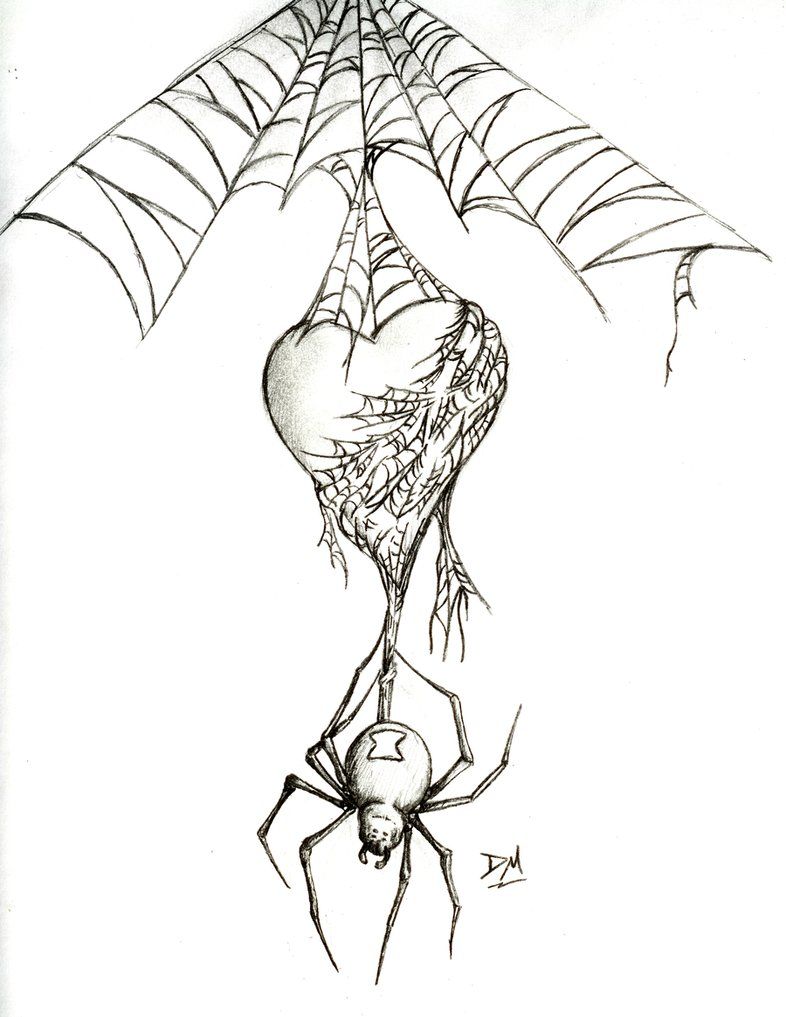 786x1017 Black Widow Spider - Spider On Web Drawing