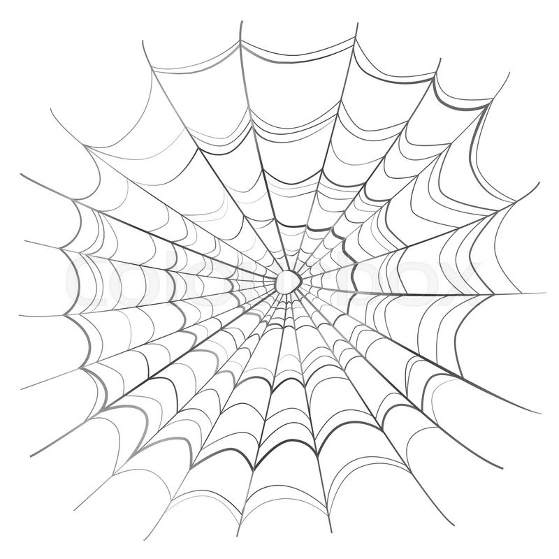 Spider On Web Drawing at Explore collection of