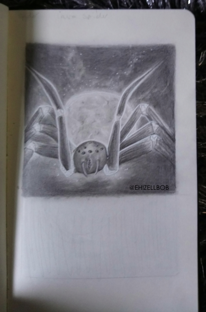 713x1080 ehizelloween original lava spider pencil drawing sophie leigh - Spider Pencil Drawing