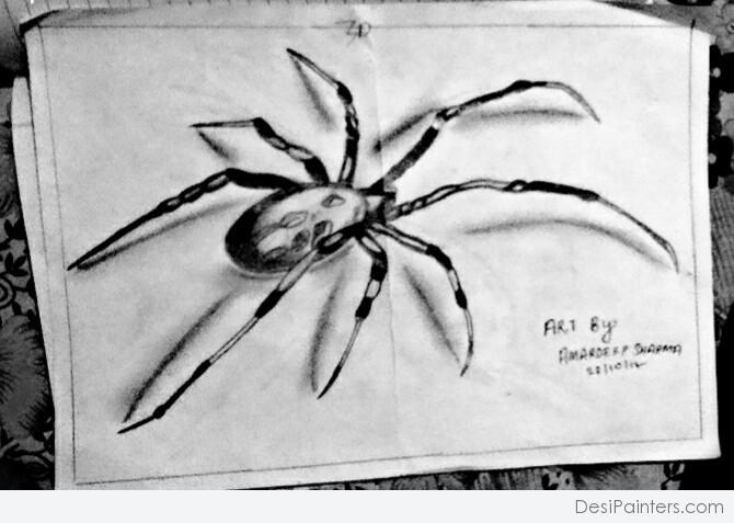 670x477 Pencil Sketch Of Spider - Spider Pencil Drawing