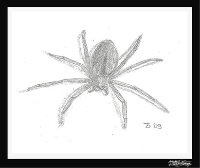 411x345 second life marketplace - Spider Pencil Drawing