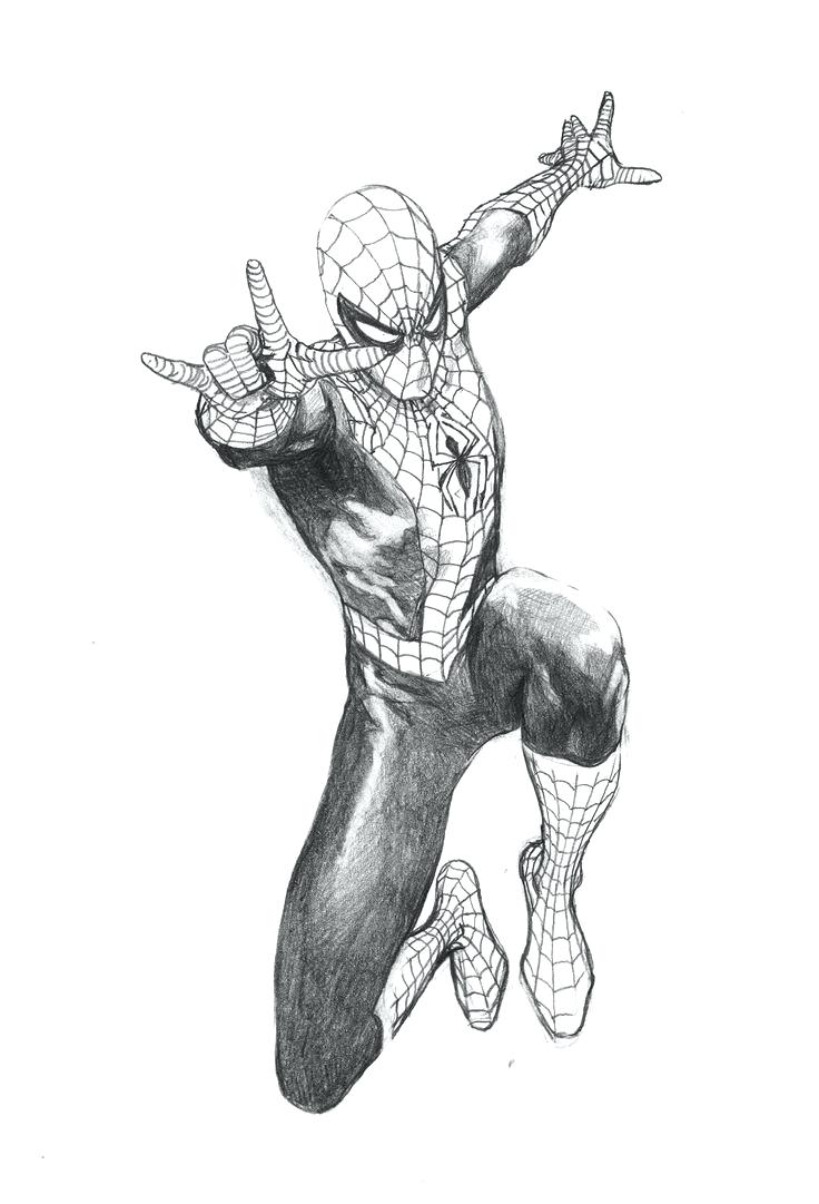 736x1081 Step Spiderman Cartoon Pencil Drawings - Spider Pencil Drawing