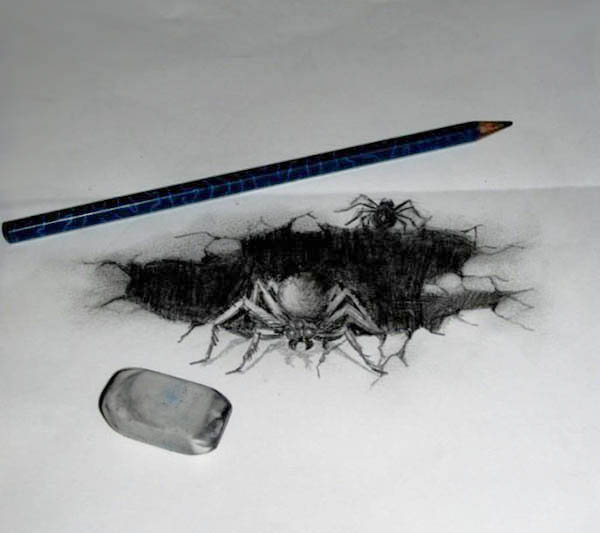 600x533 Stunning Pencil Drawing - Spider Pencil Drawing