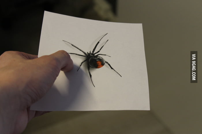 700x467 Spider Pencil Drawing - Spider Pencil Drawing