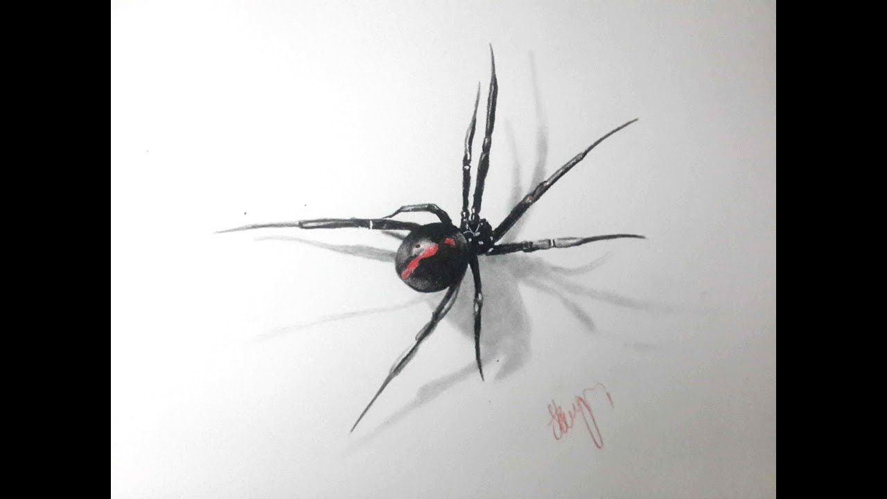 1280x720 Spider Drawing - Spider Pencil Drawing