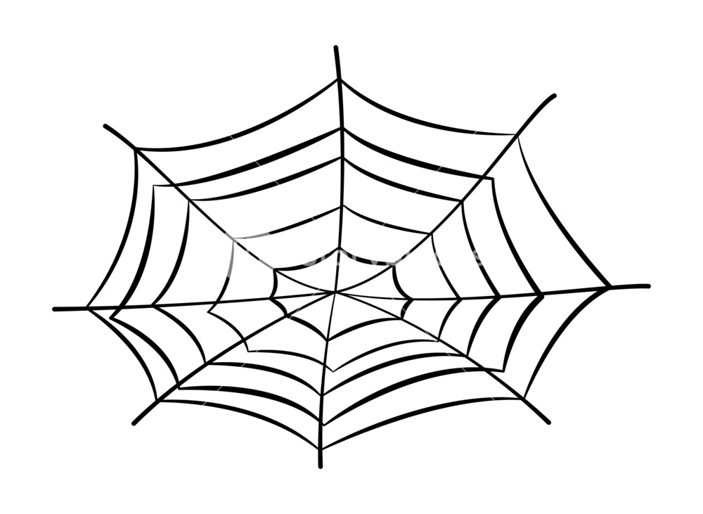 1000x731 Spider's Web Cartoon - Spider Web Cartoon Drawing