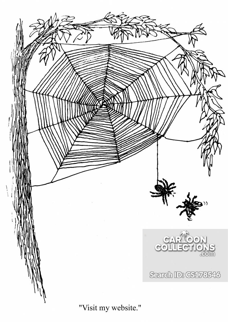800x1128 Spider's Web Cartoons - Spider Web Cartoon Drawing