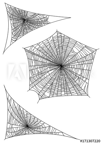 354x500 Spider Web Illustration, Drawing, Engraving, Ink, Line Art, Vector - Spider Web Drawing