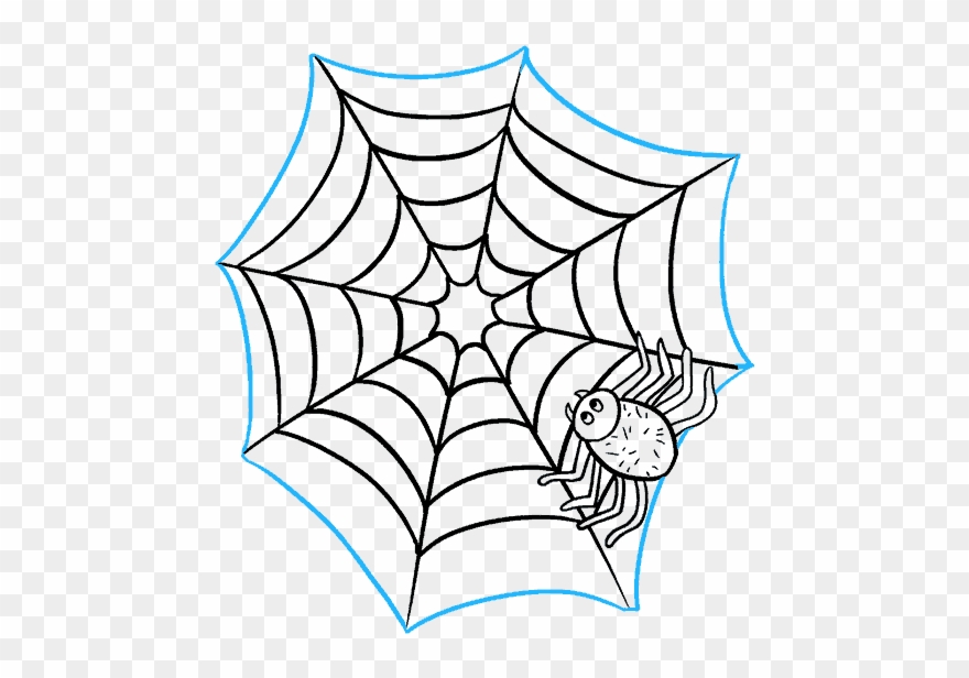880x616 how to draw spider web with spider - Spider Web Drawing