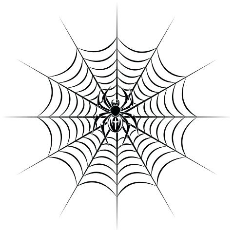 480x480 Simple Spider Drawing Simple Spider Web Drawing Cameronblack Club - Spider Web Drawing Easy