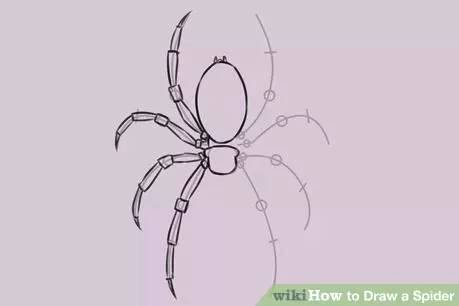 459x306 spider drawing easy draw a spider web holidays spider webs spider - Spider Web Drawing Easy