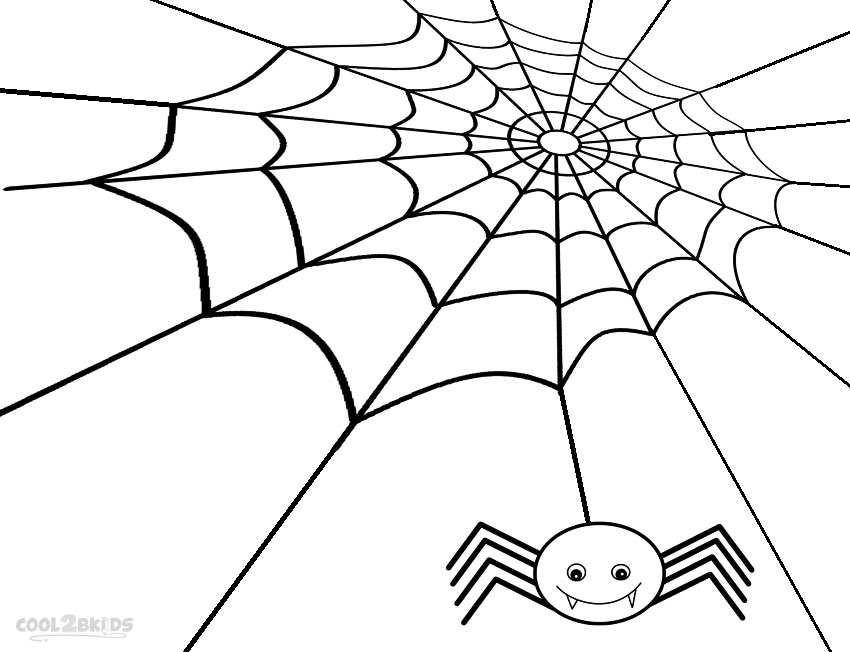 850x652 Drawn Spider Web Little - Spider Web Line Drawing