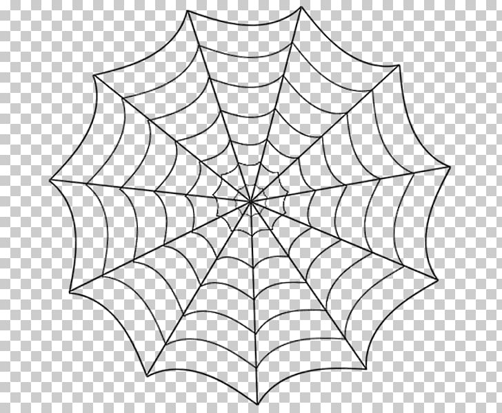 Spider Web Line Drawing at Explore collection of