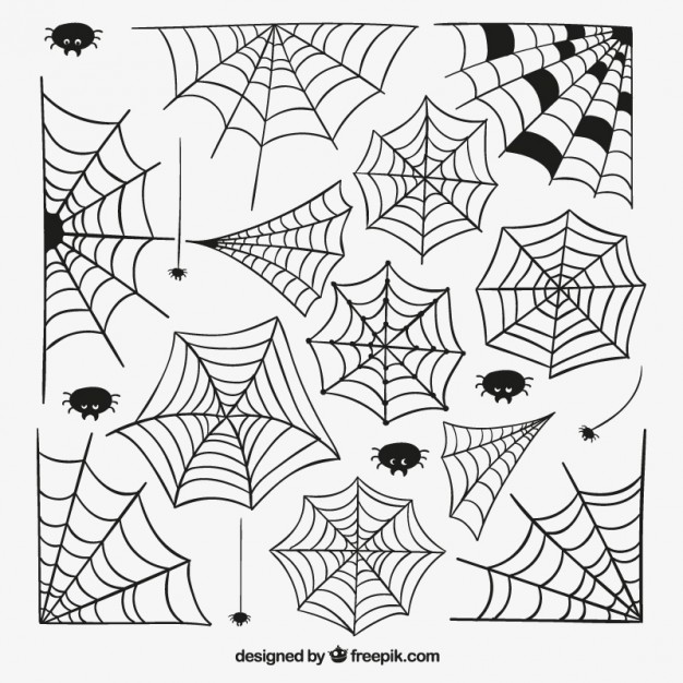 626x626 Spiderweb Vectors, Photos And Free Download - Spider Web Line Drawing