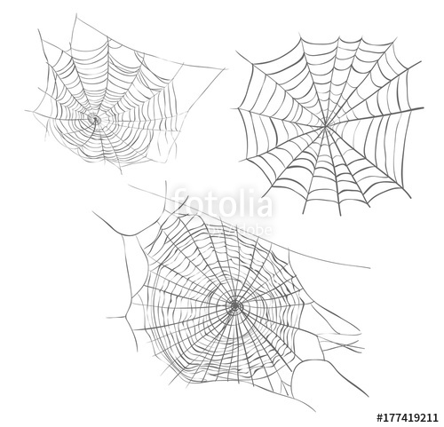 500x481 Spiderweb Sketch Vector Illustration Spider Web Hand Drawing Set - Spider Web Line Drawing