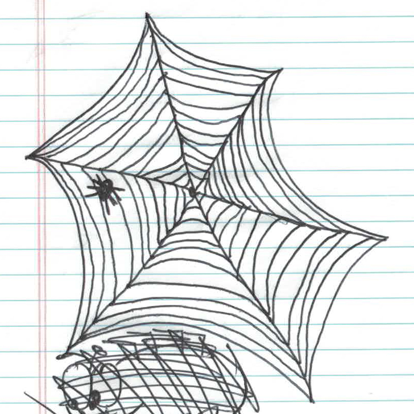 808x808 The Meaning Of Doodles Squiggles Aren't Just Squiggles - Spider Web Line Drawing
