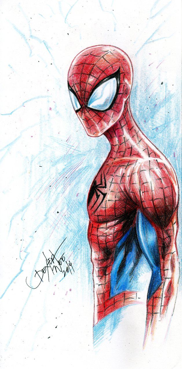 628x1271 Spider Man - Spiderman Drawing Color