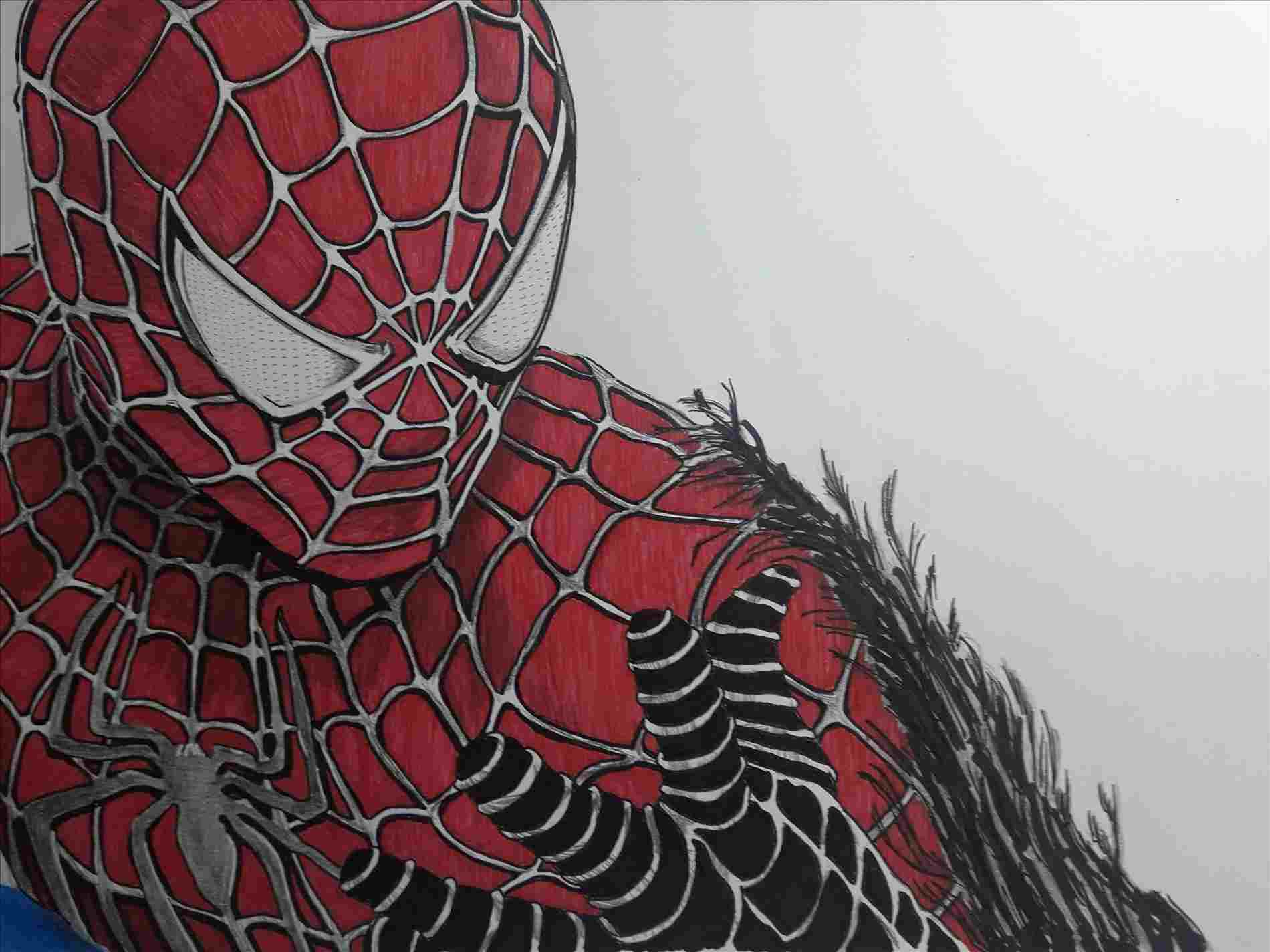 Spiderman Drawing Color At Paintingvalleycom Explore - 