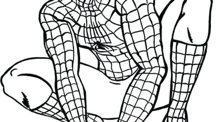 728x413 Spiderman Drawings Color In Pencil And Draw Coloring Pages Free - Spiderman Drawing Color
