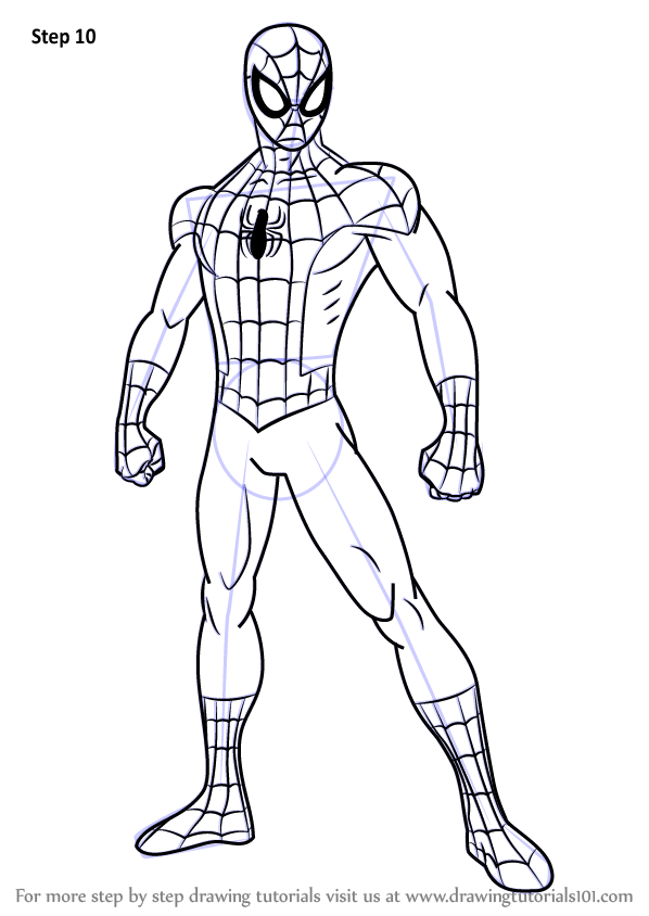 598x844 Learn How To Draw Ultimate Spider Man - Spiderman Drawing Easy