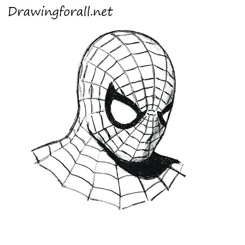 800x800 Drawing A Spider Spider Man Drawing Spiderman Drawing Face Easy - Spiderman Drawing Easy