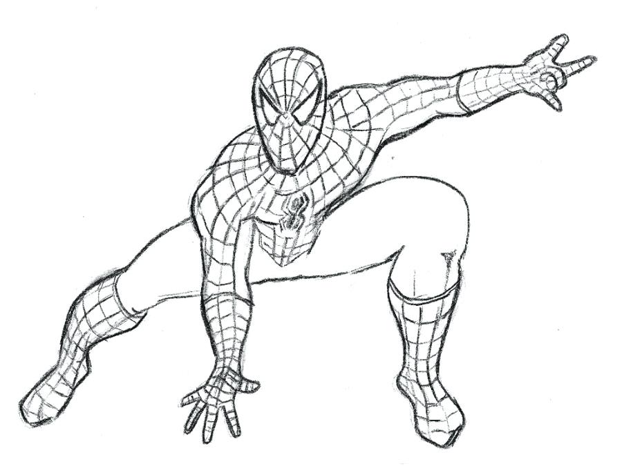 900x675 Coloring Picture Of Spiderman Pages Drawings For Kids Free Spider - Spiderman Drawing For Kids
