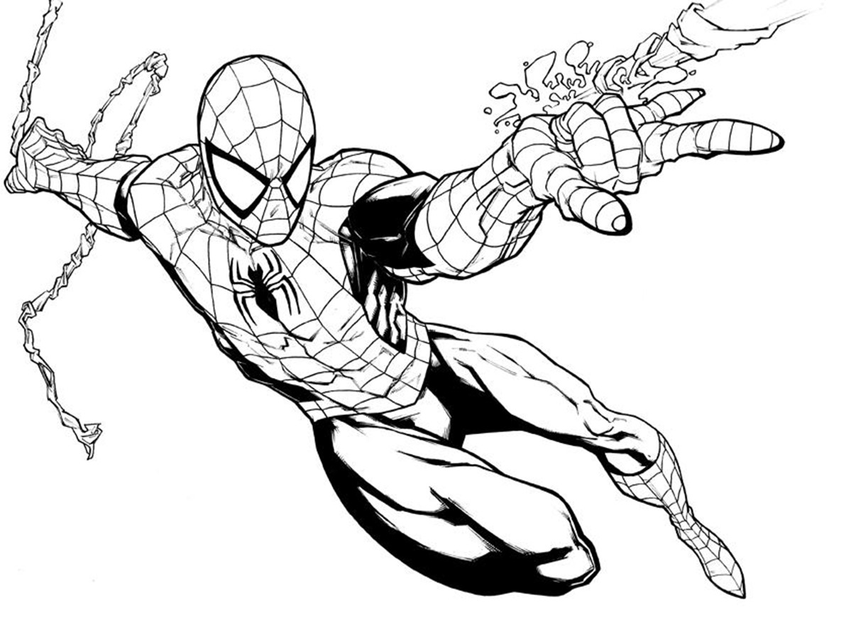1199x874 Drawing Of Spider Man Free Download - Spiderman Drawing Images
