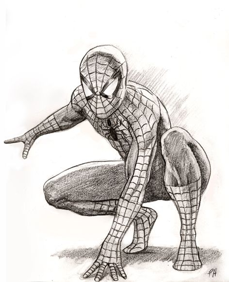 spiderman drawing sketch