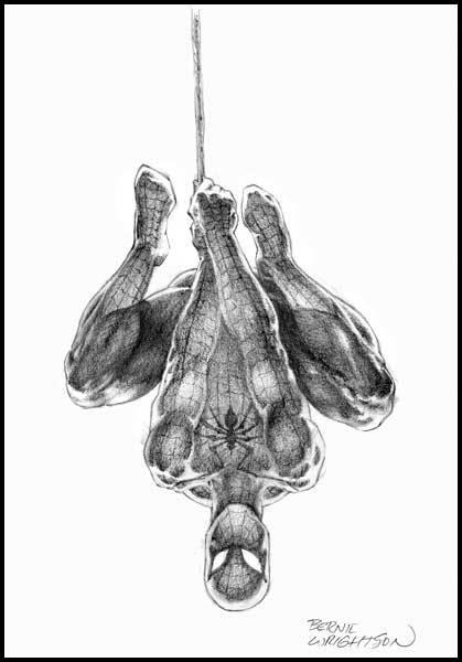 419x600 Spider Man - Spiderman Hanging Upside Down Drawing