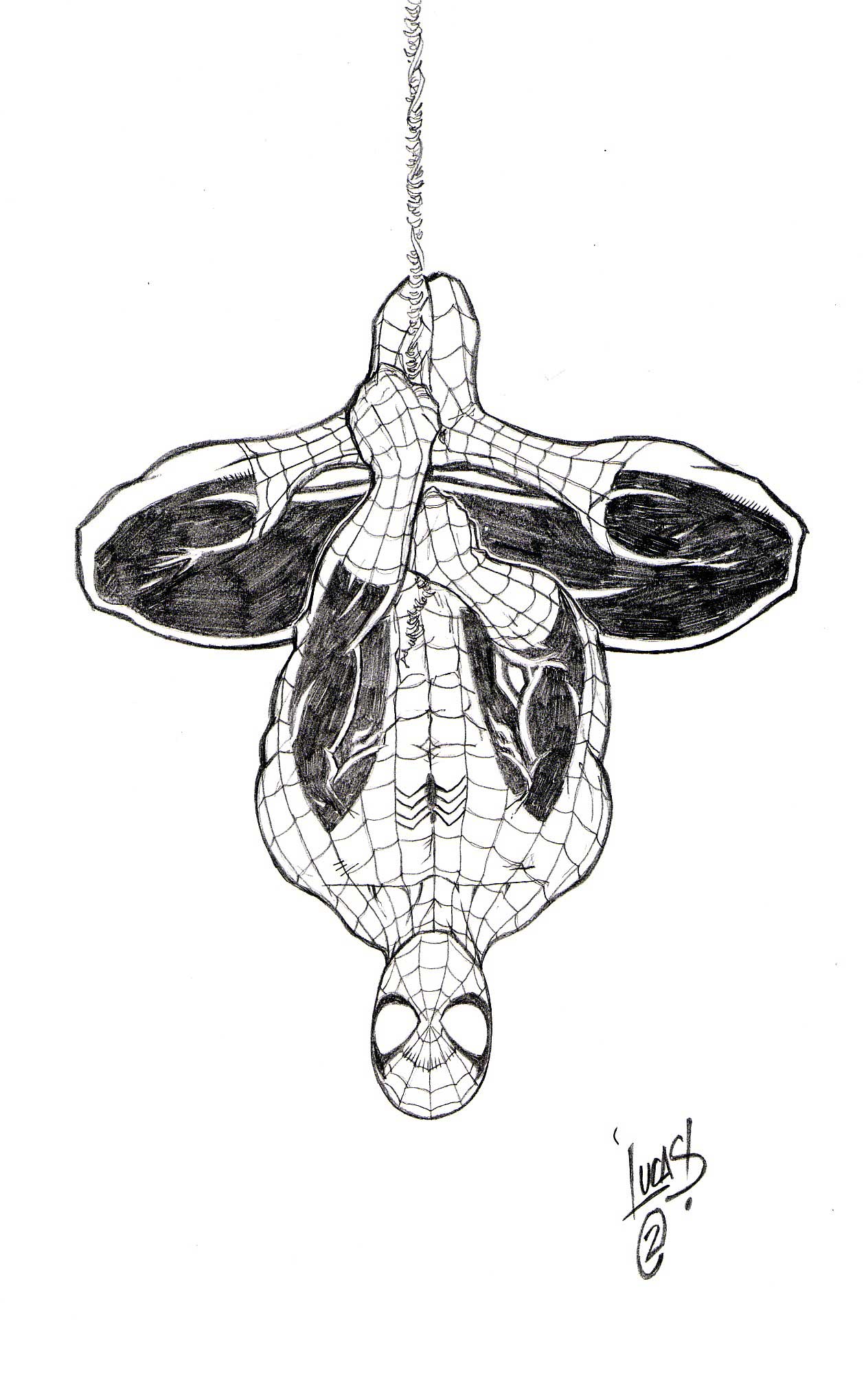 1261x2037 spiderman cartoon drawing upside down - Spiderman Hanging Ups...