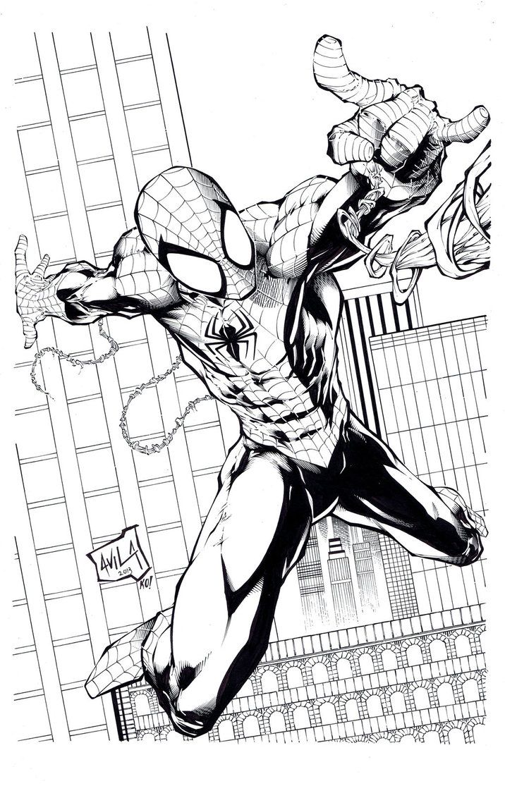 716x1115 Avila Spiderman Inks - Spiderman Line Drawing
