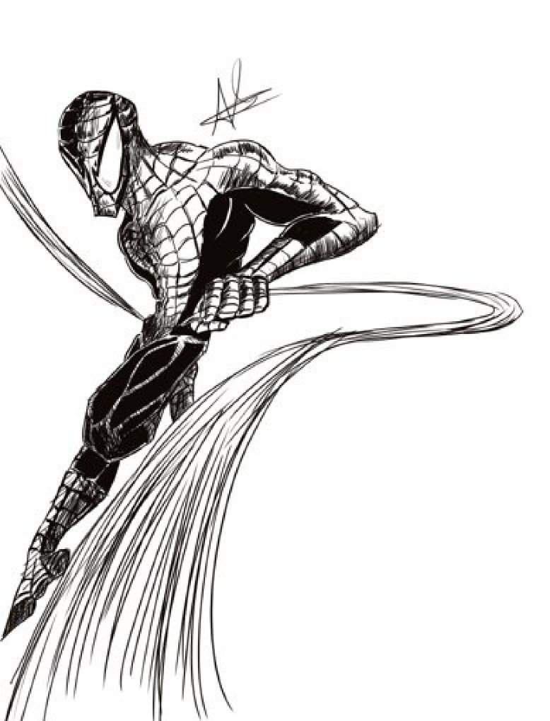 778x1019 Spider Man - Spiderman Line Drawing