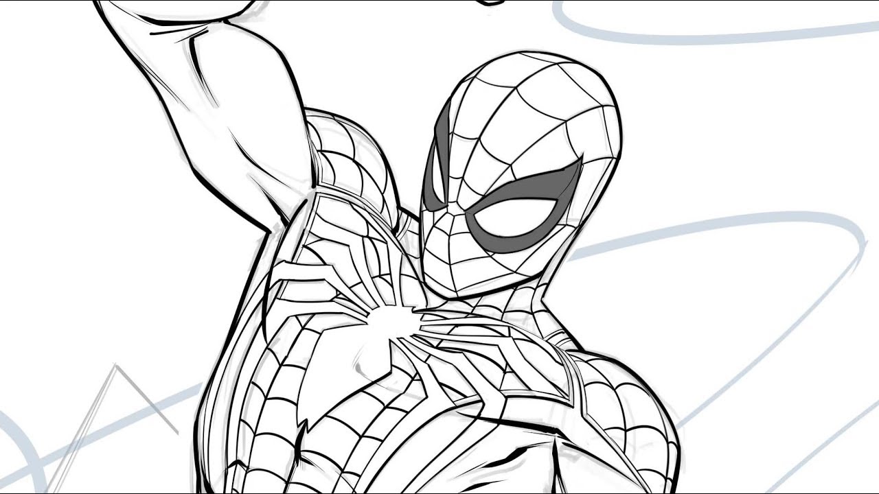 Spiderman Line Drawing at Explore collection of