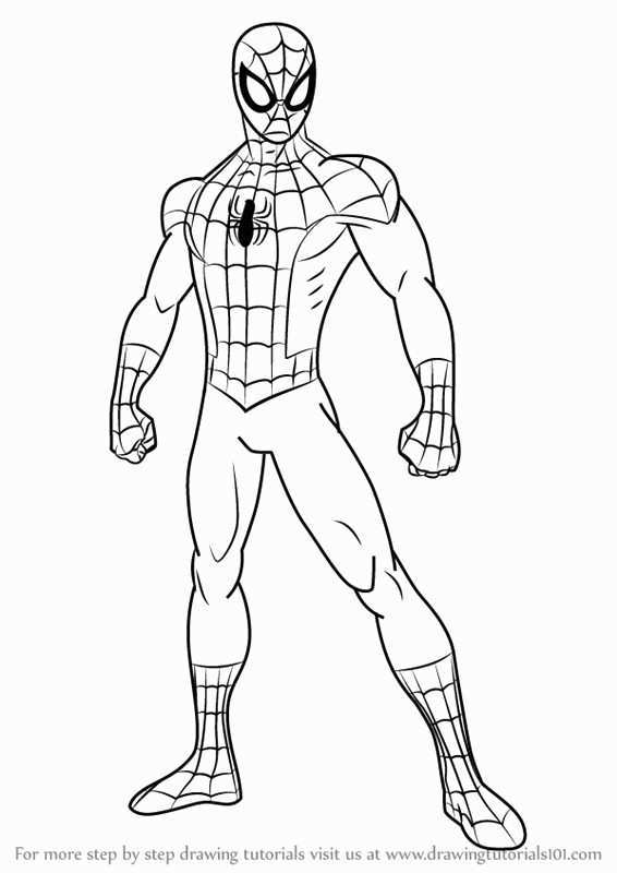 Spiderman Line Drawing at PaintingValley.com | Explore collection of ...