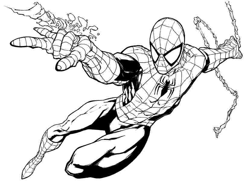 Spiderman Line Drawing at PaintingValley.com | Explore collection of ...