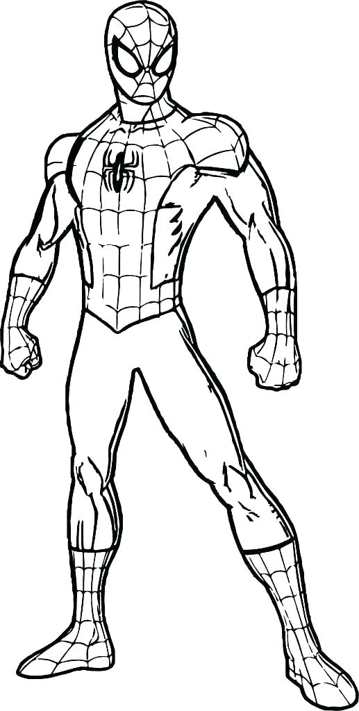 Download Spiderman Outline Drawing at PaintingValley.com | Explore collection of Spiderman Outline Drawing