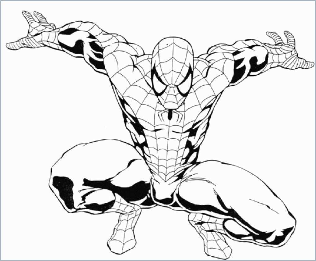 Spiderman Outline Drawing at PaintingValley.com | Explore collection of ...