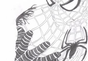 300x210 Pencil Sketch Of Spider Man Drawing Spiderman With Graphite - Spiderman Pencil Drawing