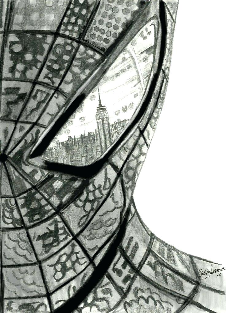 736x1017 Spider Man Drawings Photo Drawing Spiderman Pencil Drawing Images - Spiderman Pencil Drawing