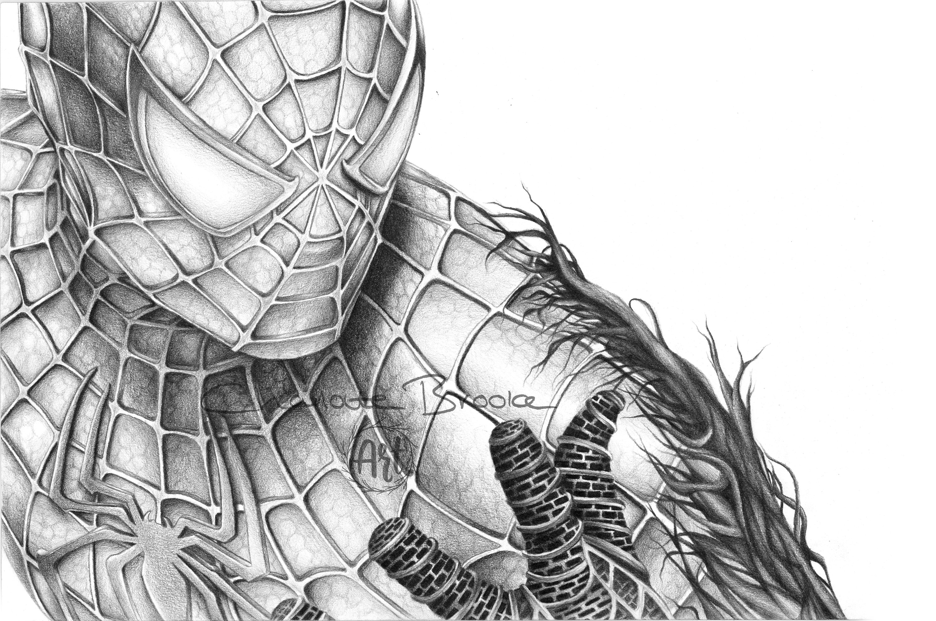 3000x1991 Spider Man Pencil Drawing Portrait Print Etsy - Spiderman Pencil Drawing