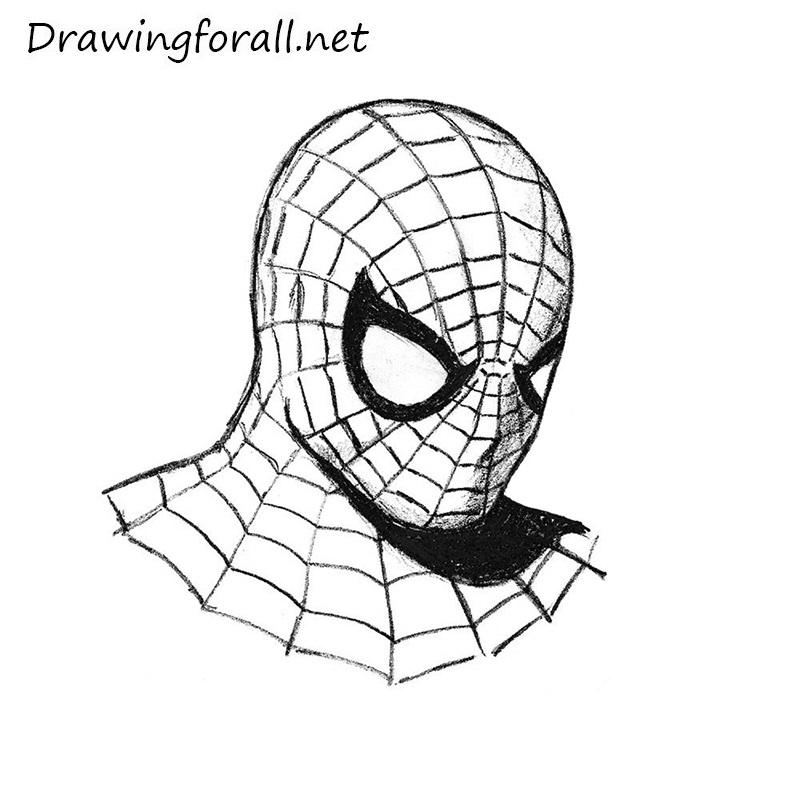 800x800 Gallery Drawings Of Spiderman - Spiderman Simple Drawing
