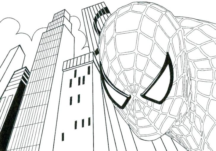 Download Spiderman Vs Batman Drawing at PaintingValley.com | Explore collection of Spiderman Vs Batman ...