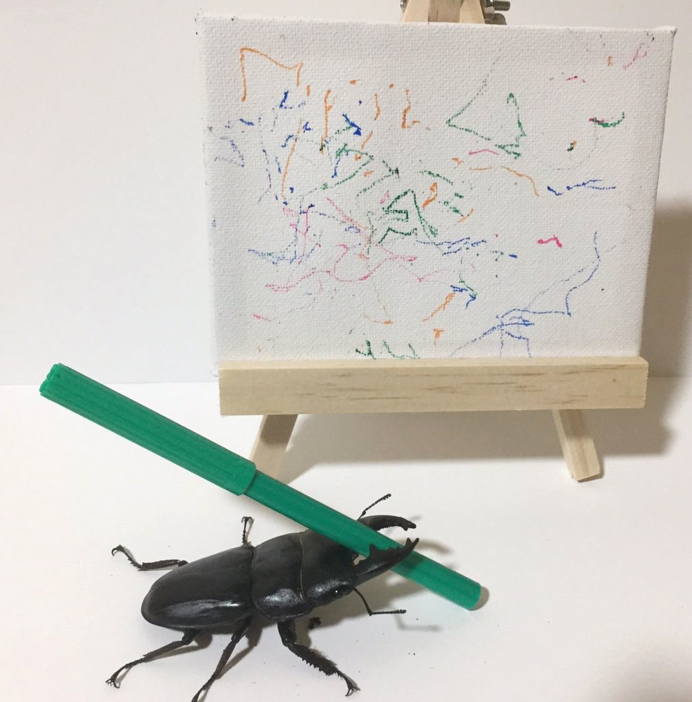 1010x1024 spike the drawing beetle is captivating the internet with his - Spike Drawing